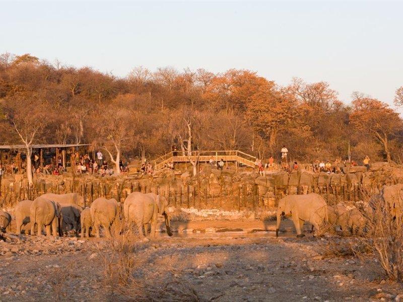 Halali Camp Hotell Etosha Eksteriør bilde